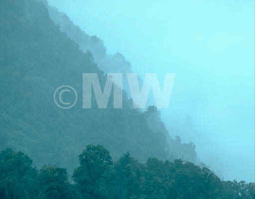 C 056.31-S Misty NZ hills